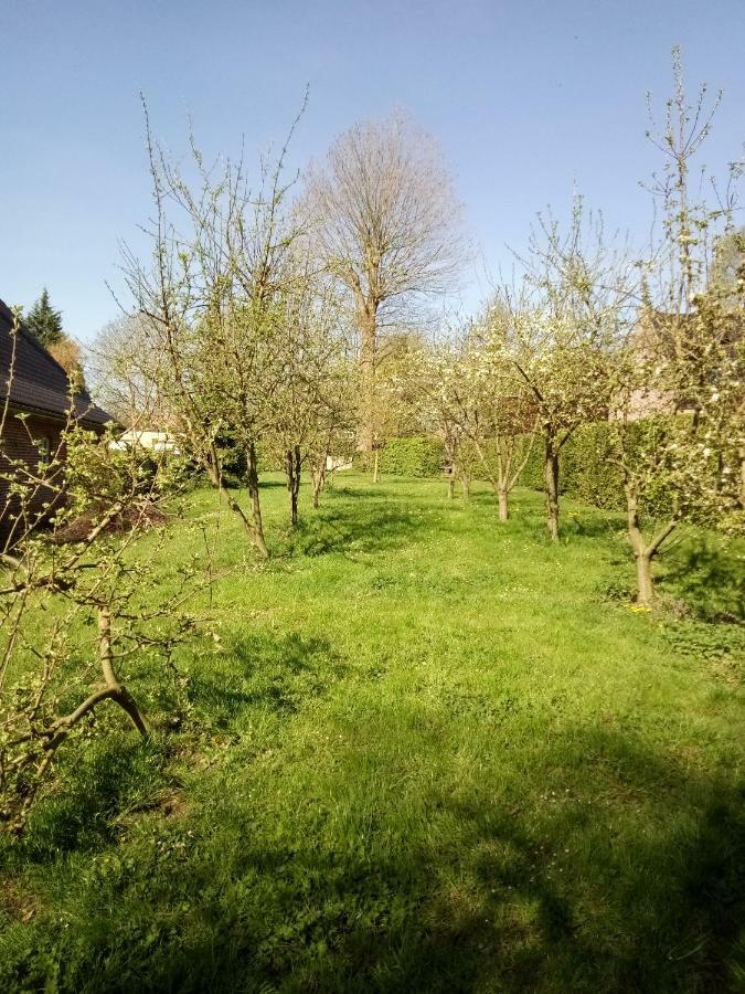 Holiday home Du Montagnard Oxelaere