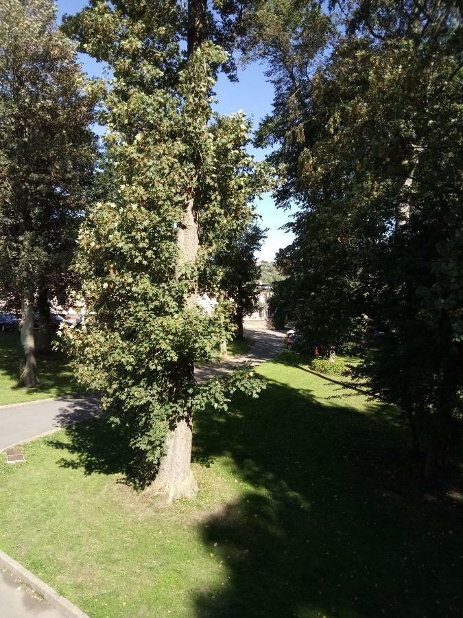 Du Montagnard